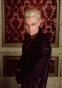 spike_2004.jpg